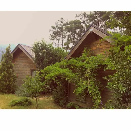 Hotel Village Relaxury 2*