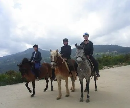 Village Relaxury 2* Olympos