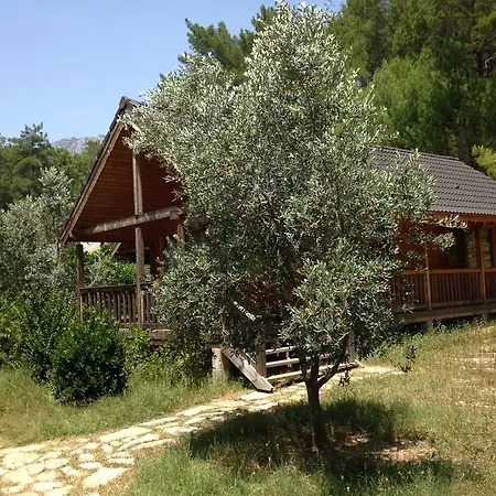 Village Relaxury 2* Olympos