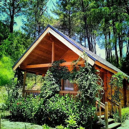 Village Relaxury 2* Olympos