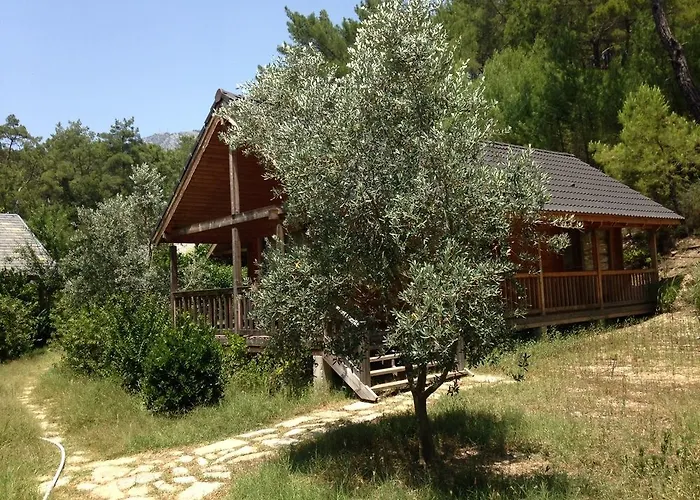 Village Relaxury 2* Olympos